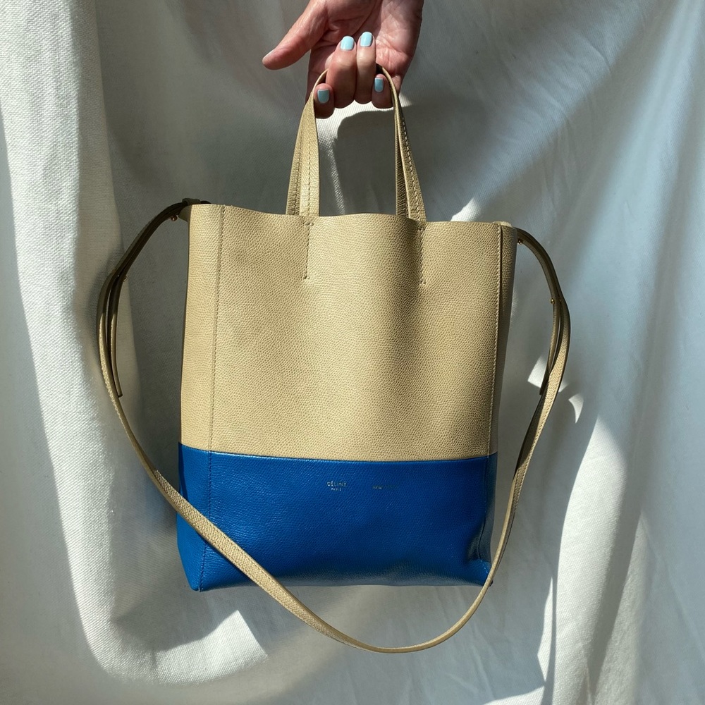 Celine CABAS PM LEATHER TOTE - MULTICOLOUR